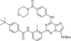 Figure BDA0000051855290000572