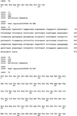 Figure imgb0031