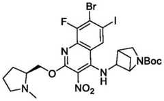 Figure BDA0003993773060002491