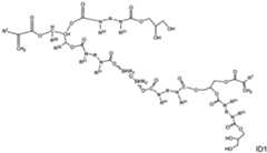 Figure imgf000042_0002