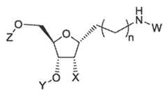 Figure imgf000023_0003