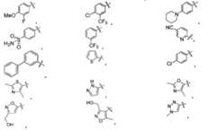 Figure 112012011921045-pct00229