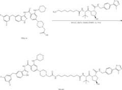 Figure US11969472-20240430-C00231