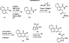 Figure imgf000262_0001