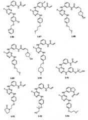 Figure BPA00001280125600581