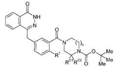 Figure 112005050535669-pct00026