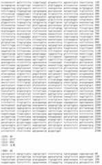 Figure IDA00002091897100581