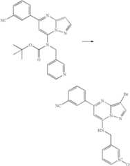 Figure US07119200-20061010-C01560