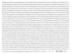 Figure 0007225456000023