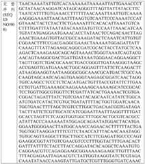 Figure BDA0004033970230007372