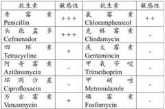 Figure BDA0002313740190000141