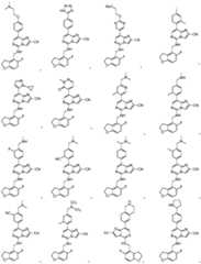 Figure BDA0002611951850000261