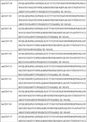 Figure BDA00002129651500311