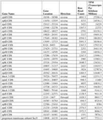 Figure imgf000074_0001