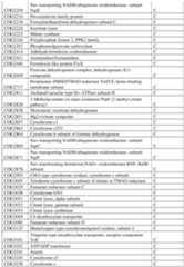 Figure imgf000472_0001