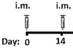 Figure imgf000052_0001