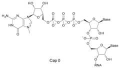 Figure JPOXMLDOC01-appb-C000014
