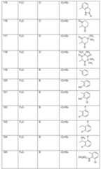 Figure imgf000047_0001