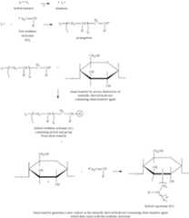 Figure US09988526-20180605-C00007