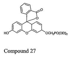 Figure imgf000037_0002