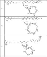 Figure FDA0002889616210000601