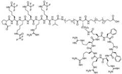 Figure imgf000157_0001