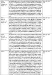 Figure imgf000259_0001