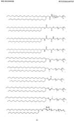 Figure imgf000023_0001