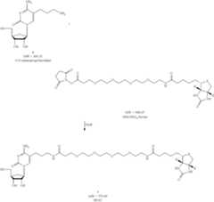 Figure US09206216-20151208-C00081