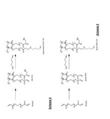 Figure imgf000034_0001