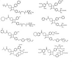 Figure A2007800391940010C1