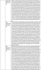 Figure BDA0004033970230006201