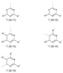 Figure 112019131196678-pct00022