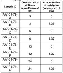 Figure imgf000017_0001