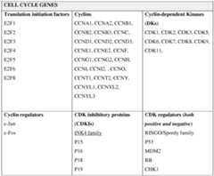 Figure imgf000239_0001