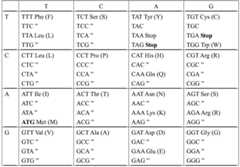 Figure BDA0000395219060000052