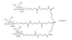 Figure imgf000169_0002