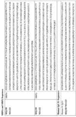 Figure imgf000060_0001