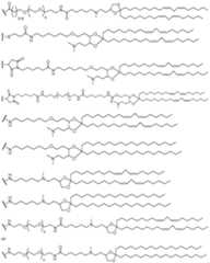 Figure imgf000337_0001