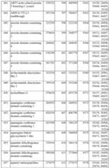 Figure imgf000132_0001