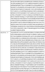 Figure BDA0002742983620000491