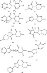 Figure BDA0003027048450001011