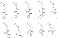 Figure BDA0003652151060000821