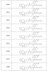 Figure A2006800095860036C1