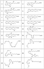 Figure imgf000032_0001