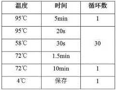 Figure 496987DEST_PATH_IMAGE006