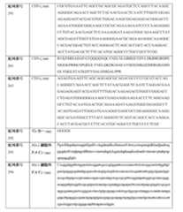 Figure 0007483732000081