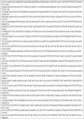 Figure imgf000033_0001