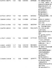 Figure BPA00001280678301801