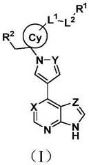 Figure BDA0002319666810000031